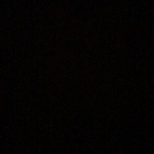 Meet your Posher, Ella